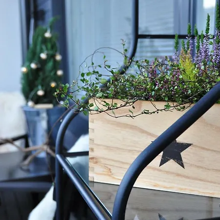 Aliisa's Rovaniemi